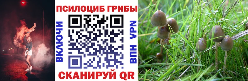 купить закладку  Ак-Довурак  Псилоцибиновые грибы Magic Shrooms 